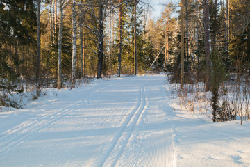 Ski track at winter forest in Finland