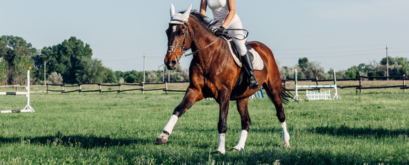 A woman jockey rides a horse in a competition in jumping.