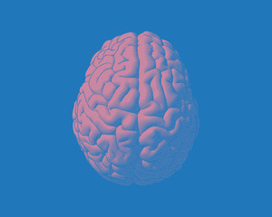 Pink brain illustration isolated on blue BG