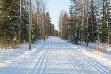 Ski track at winter forest in Finland