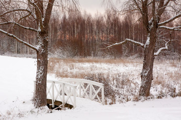 Beautiful winter snow landscape in Finland