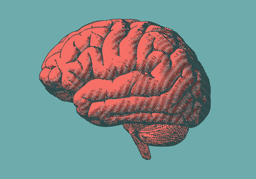 Brain illustration in retro style isolated on green BG