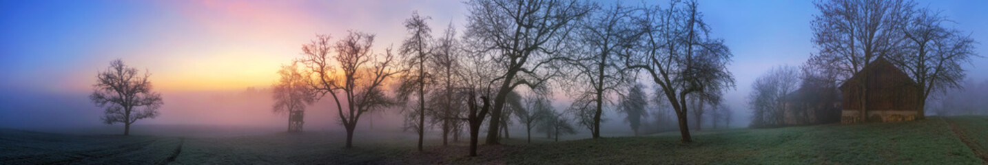 Fototapeta na wymiar Bunte Dämmerung am Land im Winter, mit Silhouetten der Bäume