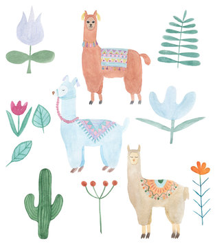 Watercolor lamas set