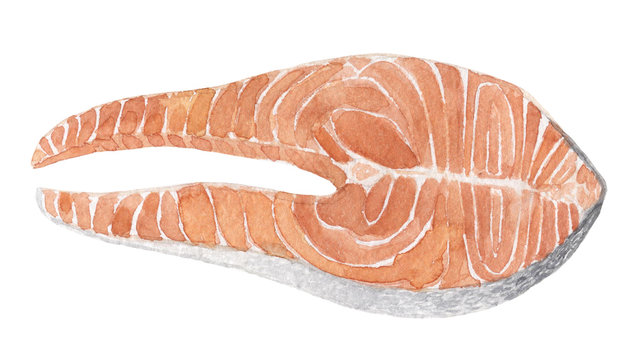 Watercolor fish steak