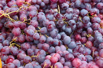 bunch of red grapes