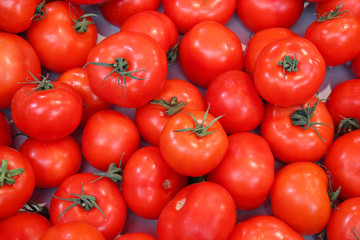 Ripe tomatoes. Many tomatoes