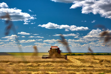 Harvest technics. Harvester. Farmland, sloping fields on a bright and Sunny day in summer.