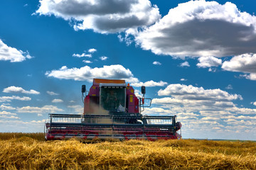 Fototapeta na wymiar Harvest technics. Harvester. Farmland, sloping fields on a bright and Sunny day in summer.