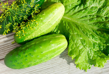 Green vegetables (cucumber, dill, lettuce) on a wooden.
