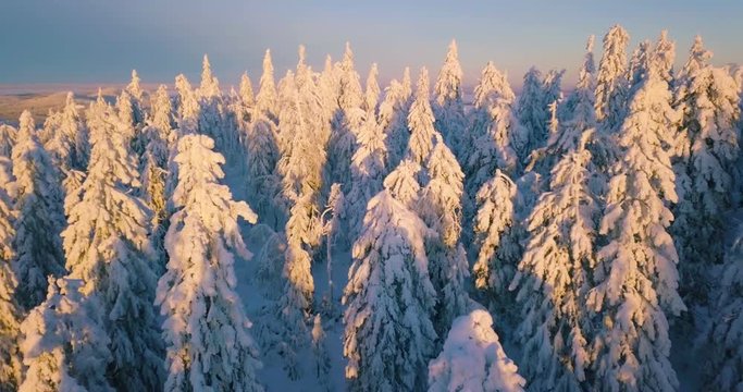 Aerial winter nature nordic landscape snowy mountain forest and lake on sunset