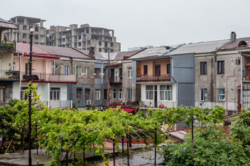 city ​​courtyard with a vineyard in Batumi, Georgia