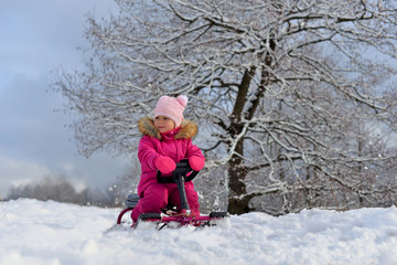 Fototapeta na wymiar A little girl in a pink down jacket sitting on a sled under a branched tree in the snowy winter.