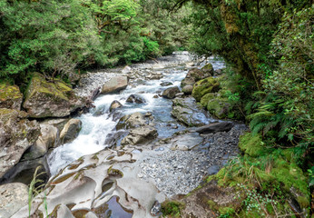 The Chasm Waterfalls, Milford Sound Fjordland, New Zealand, South Island, NZ