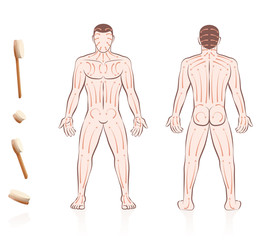 Body skin brushing. Dry skin brushing with directions of brush strokes. Health and beauty treatment for skincare and massage, and to stimulate the blood circulation. Nude man, front and back view.
