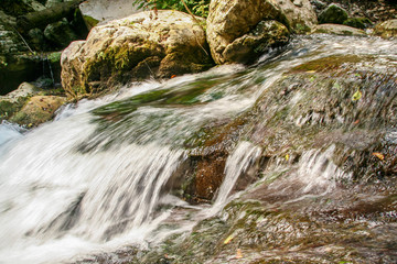 River Bussento and wwf Oasis