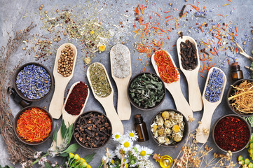 Medicinal flowers and herbs background, selective focus, toned	
