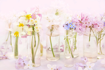 Spring blossoming/springtime blooming flowers on pink pastel background, selective focus,  toned