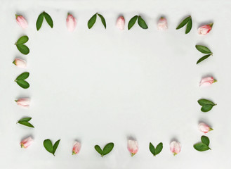 bright background with a frame of flowers and leaves