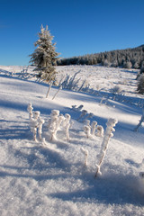 Hala Krupowa in Beskid Żywiecki, Carpathian Mountains, Poland