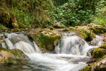 River Bussento and wwf Oasis
