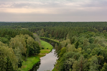 View to the pinewood treetops and winding Sventoji River from the watchtower of The Treetop Walking Path in Anyksciai, Lithuania.