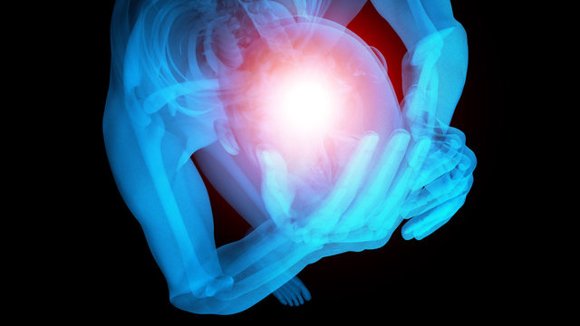 x ray 3d rendered skeletal medical illustration