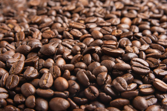 A spread of roasted and dried wild arabica coffee beans with selective focus and shallow depth of field in horizontal image format.