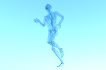 x ray 3d rendered skeletal medical illustration