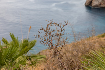 Natural Reserve of Gypsy Sicily Italy