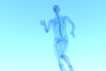 x ray 3d rendered skeletal medical illustration