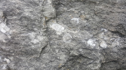 old stone wall