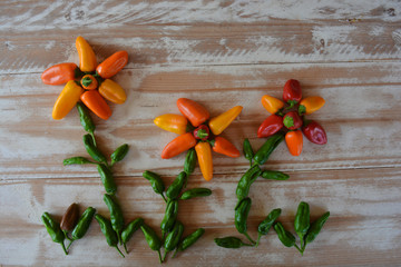 Creative healthy fun food photography, flower peppers