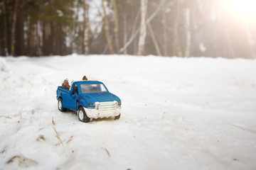 A toy. Blue pickup truck in winter forest with open door on the road. Carrying fir cones in the back of a car body.