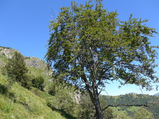 Culmine San Pietro - Maesimo (Lombardia)