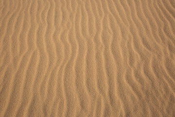 Fototapeta na wymiar Ripples in Sand