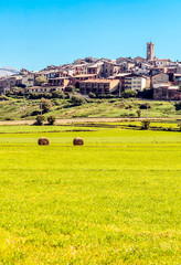 Rural village in the north of Spain surrounded by cultivated fields on a sunny day.