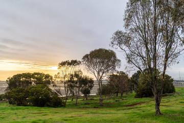Eucalyptus trees and grass on a hilly terrain with the sizing sun peeking through the clouds, Bedwell Bayfront Park, Menlo Park, California