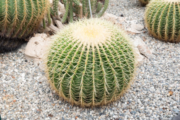 Botanical Garden of Catania Sicily