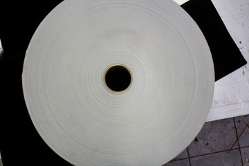 Roll of white paper on a cardboard shell