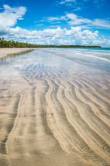 Scenic tropical background of the deserted shore of a remote island beach in Bahia, Brazil