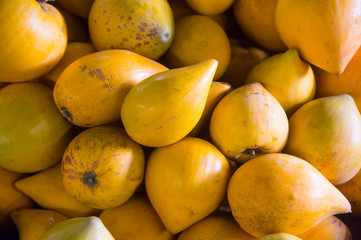 Pile of fresh canistel eggfruit, a tropical fruit related to the mamey sapote with the texture of a boiled egg yolk, at an outdoor farmers market