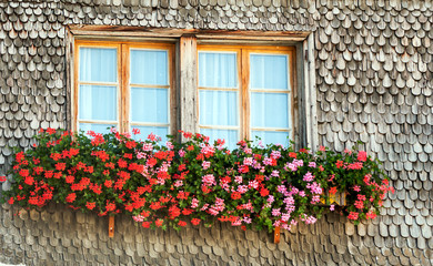 Fototapeta na wymiar Facade of houses with their windows decorated with pots