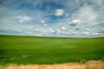 Idaho Plains