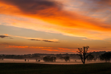 Fototapeta na wymiar A bright orange sunset over farmland and ground fog.