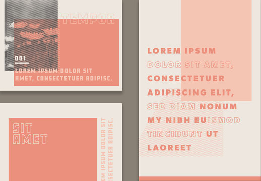 Social Media Post Layouts with Coral Accents