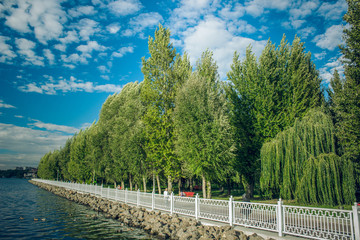 spring park outdoor scenic waterfront landscaping beautiful place for promenade with view on small island