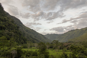 Fototapeta premium atardecer