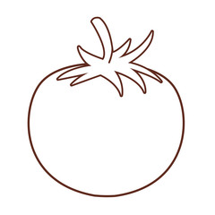tomato isolated icon