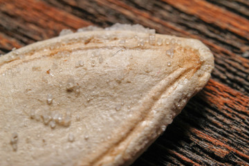 One piece of roasted and salted pumpkin seeds with visible salt crystals. Close up, macro photos.